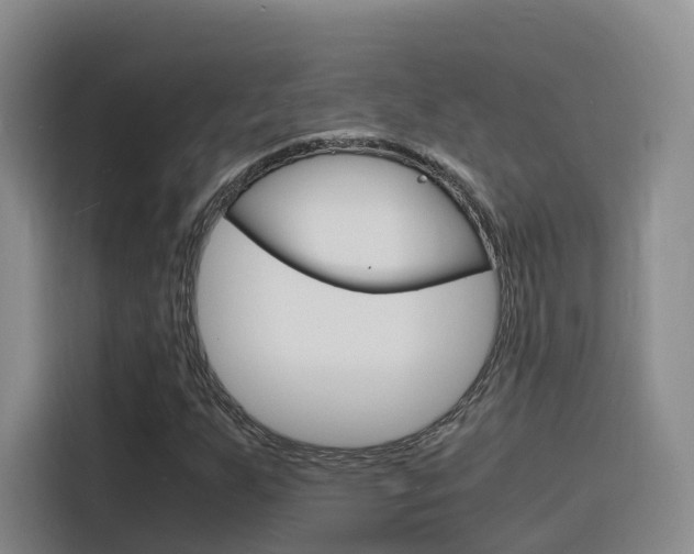 X0000116141255200911230924