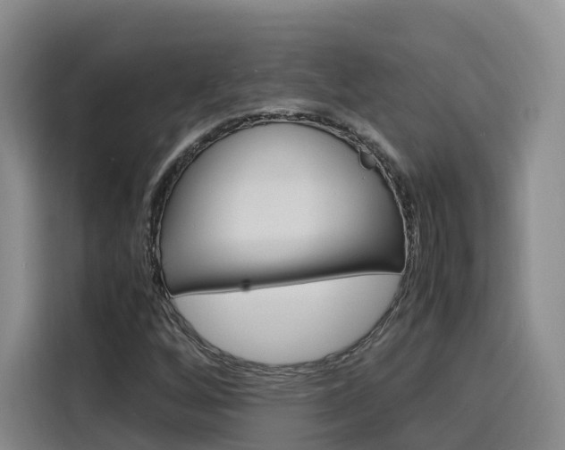X0000116141256200911230924
