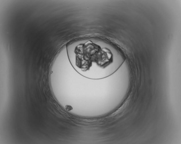 X0000116141257200911230924
