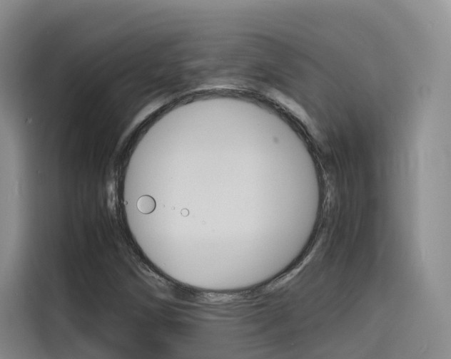 X0000116141258200911230924