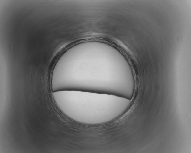 X0000116141259200911230924