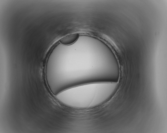 X0000116141260200911230924