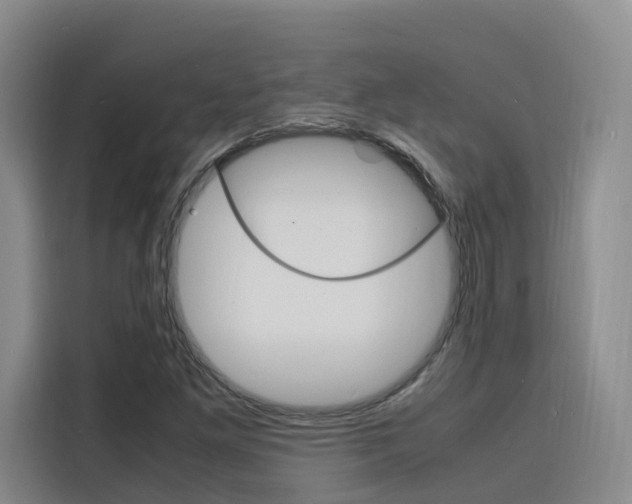 X0000116141261200911230924