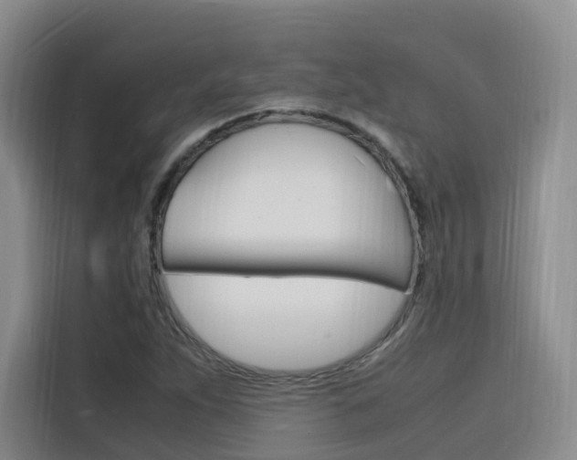 X0000116141263200911230924