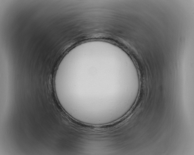 X0000116141265200911230924