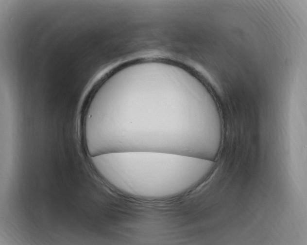 X0000116141270200911230924