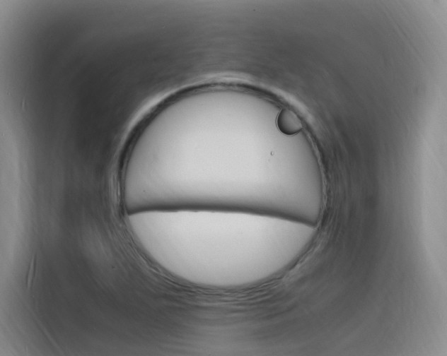 X0000116141271200911230924