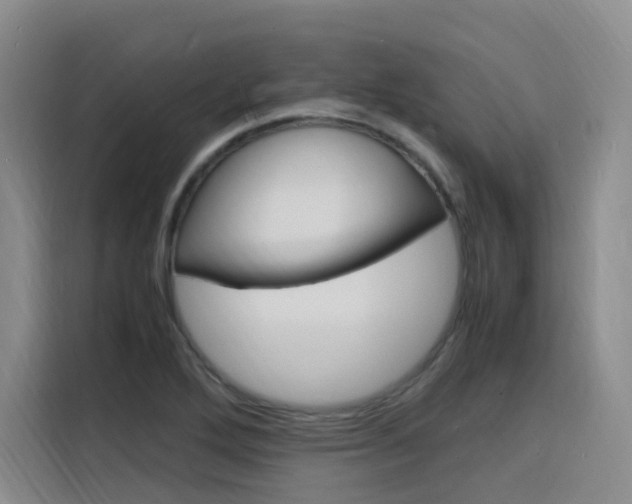 X0000116141272200911230924