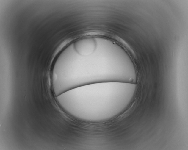 X0000116141274200911230924