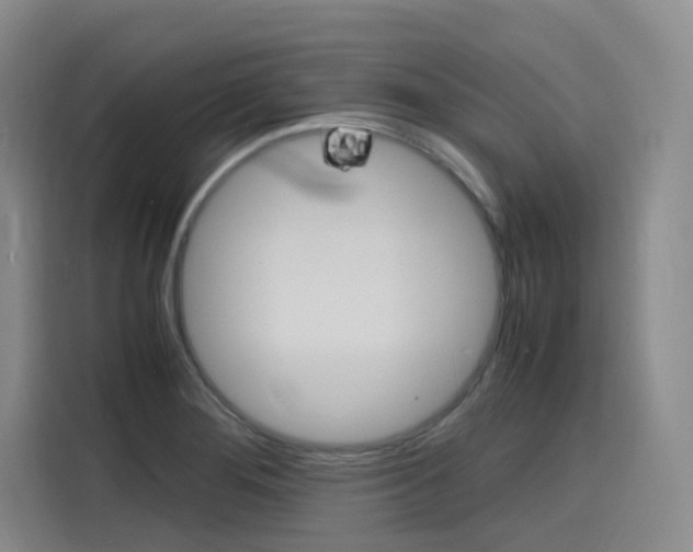 X0000116141276200911230924