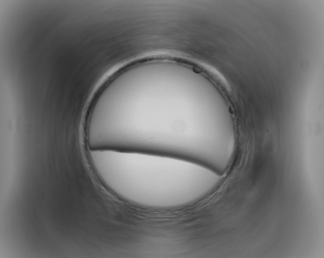 X0000116141279200911230924