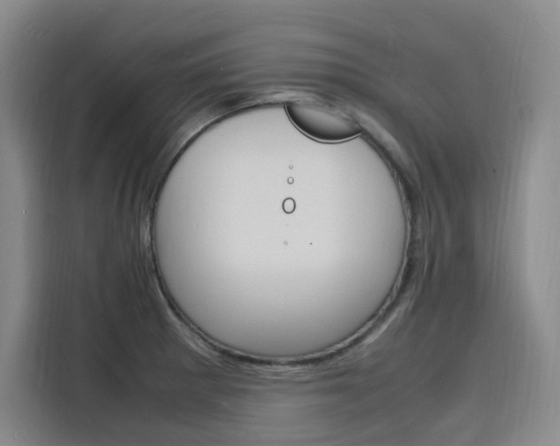 X0000116141281200911230924
