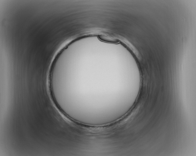 X0000116141285200911230924