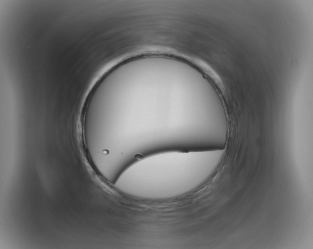 X0000116141287200911230924