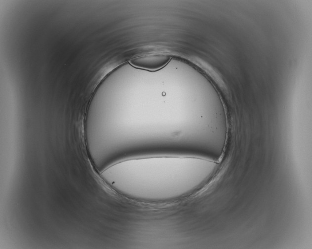 X0000116141289200911230924
