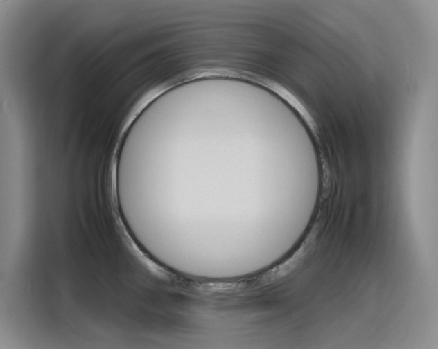 X0000116141290200911230924