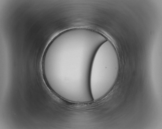 X0000116141291200911230924