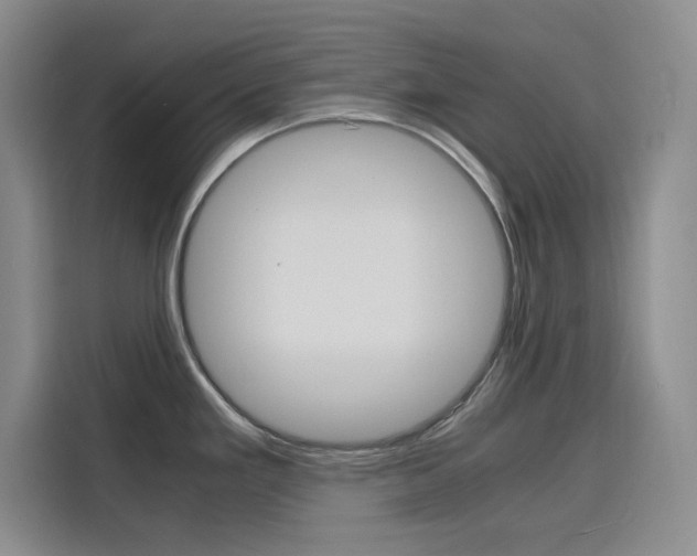 X0000116141293200911230924