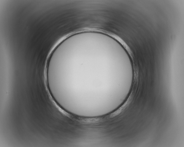 X0000116141294200911230924