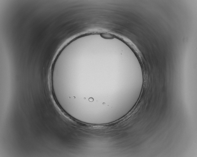X0000116141295200911230924
