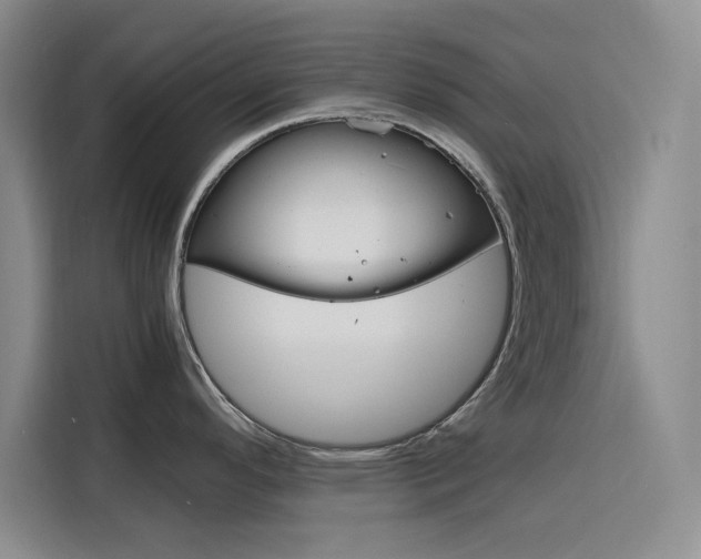 X0000116141296200911230924
