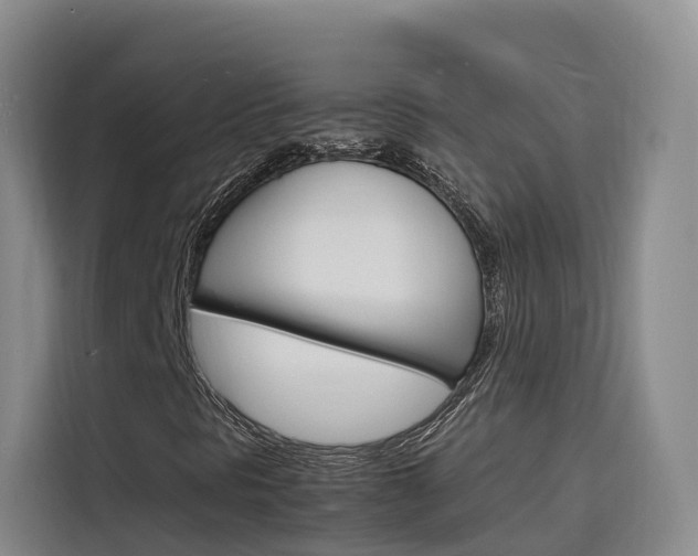 X0000116141297200911230923