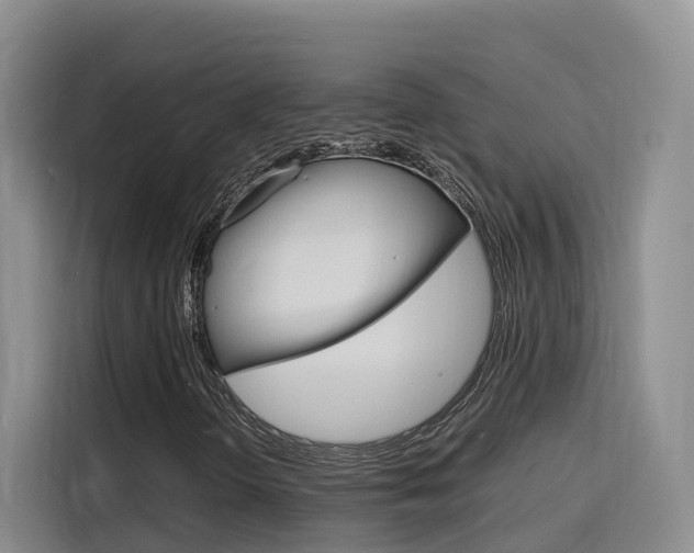 X0000116141298200911230923