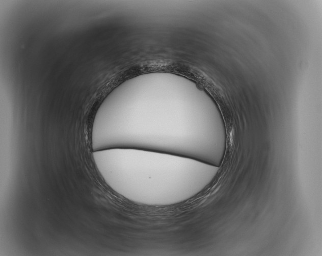 X0000116141299200911230923
