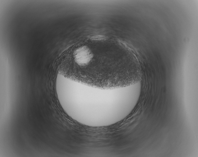 X0000116141301200911230923