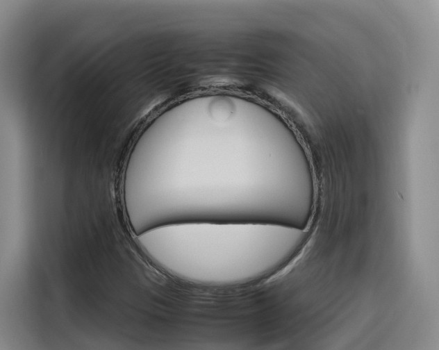 X0000116141305200911230923