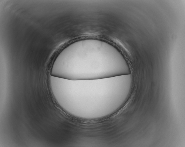 X0000116141307200911230923
