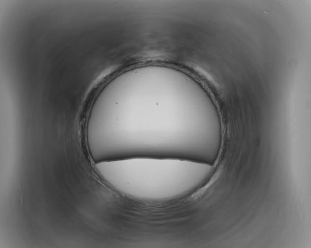 X0000116141309200911230923