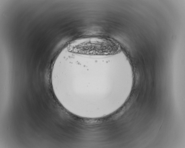 X0000116141314200911230924