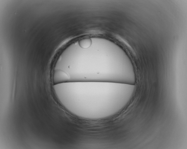X0000116141315200911230924