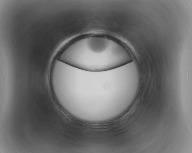 X0000116141319200911230924