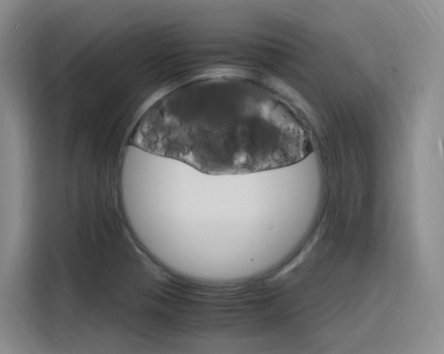 X0000116141321200911230924