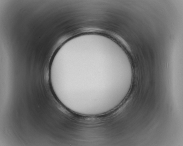 X0000116141322200911230924