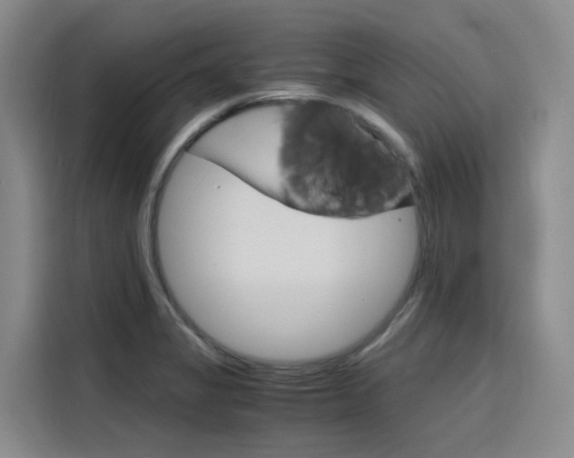 X0000116141325200911230924