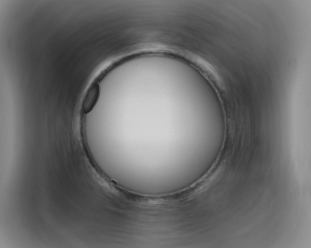 X0000116141326200911230924
