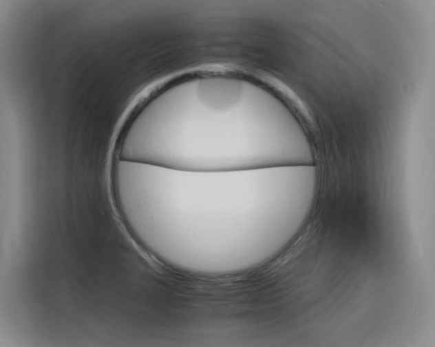 X0000116141327200911230924