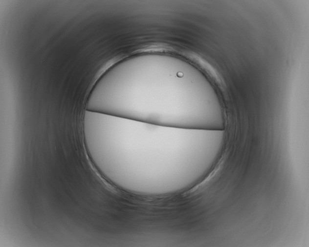X0000116141329200911230924