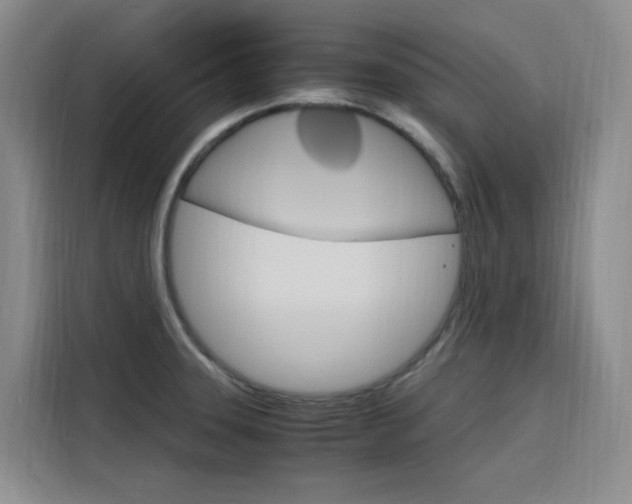 X0000116141331200911230924