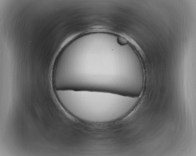 X0000116141333200911230924