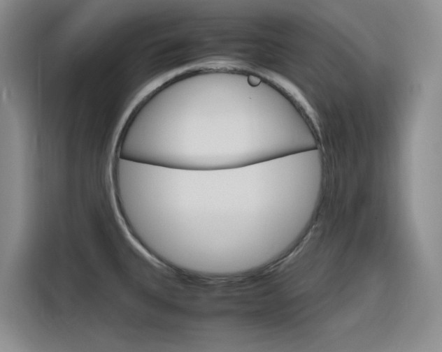 X0000116141335200911230924