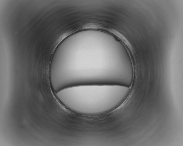 X0000116141337200911230924