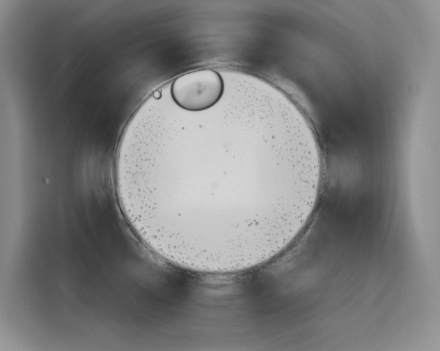 X0000116141338200911230924