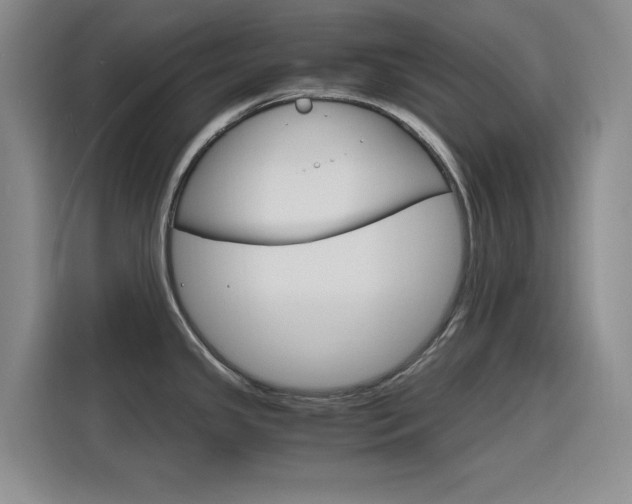 X0000116141341200911230924