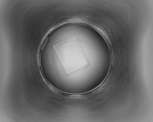 X0000116141342200911230924
