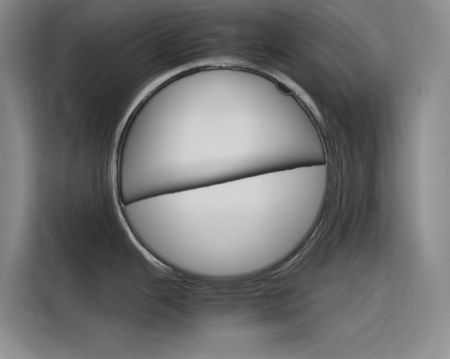 X0000116141343200911230924
