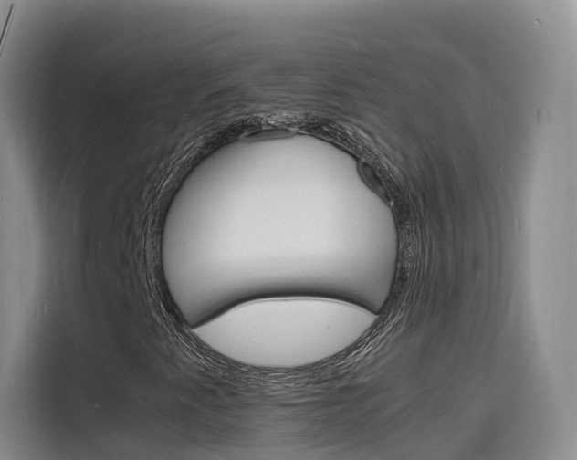 X0000116141345200911230923